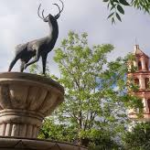 Imprescindibles de Venado