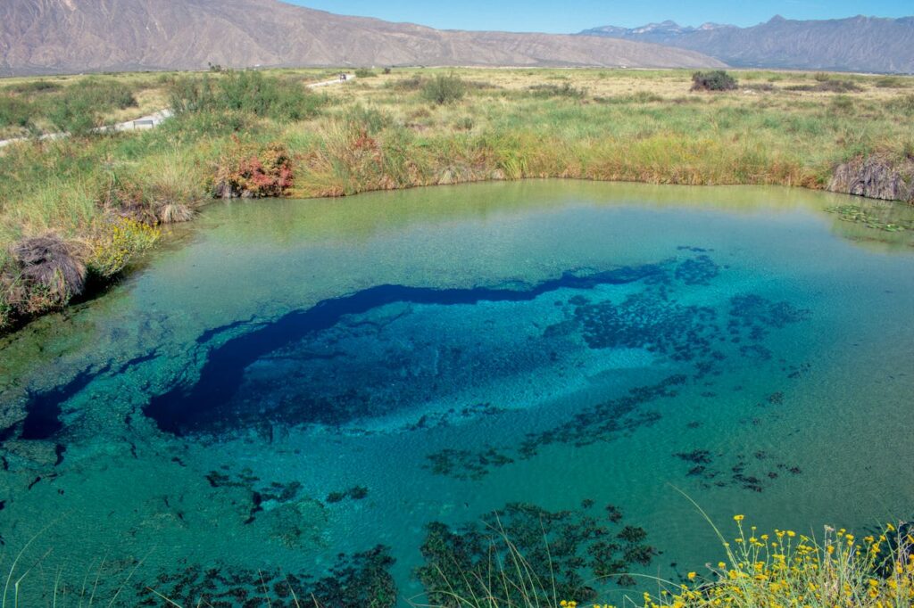 Coahuila