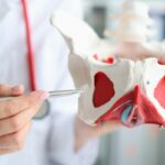 El piso pélvico masculino y su importancia en la salud