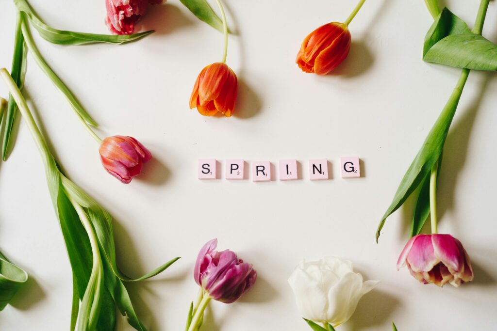 Flores amarillas y primavera en México: planes y celebraciones 2026