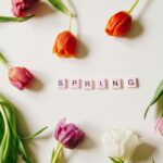 Flores amarillas y primavera en México: planes y celebraciones 2026