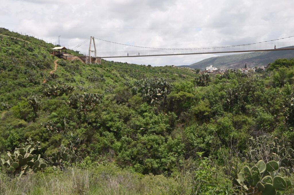 Ecoparque Centenario: Aventura y Naturaleza en las Alturas de Zacatecas