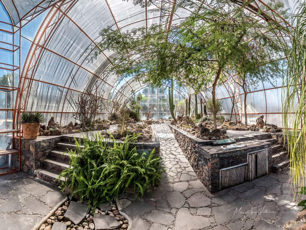 El Charco del Ingenio: Un Jardín Botánico Sagrado