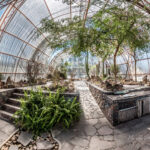 El Charco del Ingenio: Un Jardín Botánico Sagrado