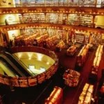 Librería CONARTE: El santuario de lectura más espectacular de Monterrey