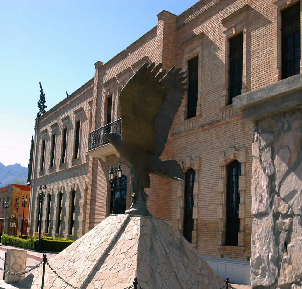 El santuario de las alas: Descubre el Museo de las Aves de México en Saltillo