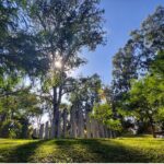 Bosque Los Colomos: El espectacular pulmón verde de cantera y tranquilidad en Guadalajara
