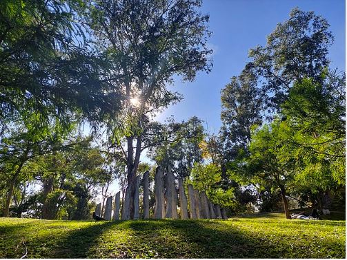 Bosque Los Colomos: El espectacular pulmón verde de cantera y tranquilidad en Guadalajara