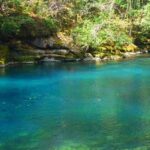 Poza Azul: El edén turquesa que esconde la selva de Gómez Farías, Tamaulipas