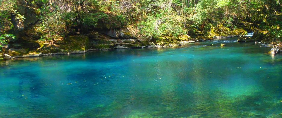 Poza Azul: El edén turquesa que esconde la selva de Gómez Farías, Tamaulipas