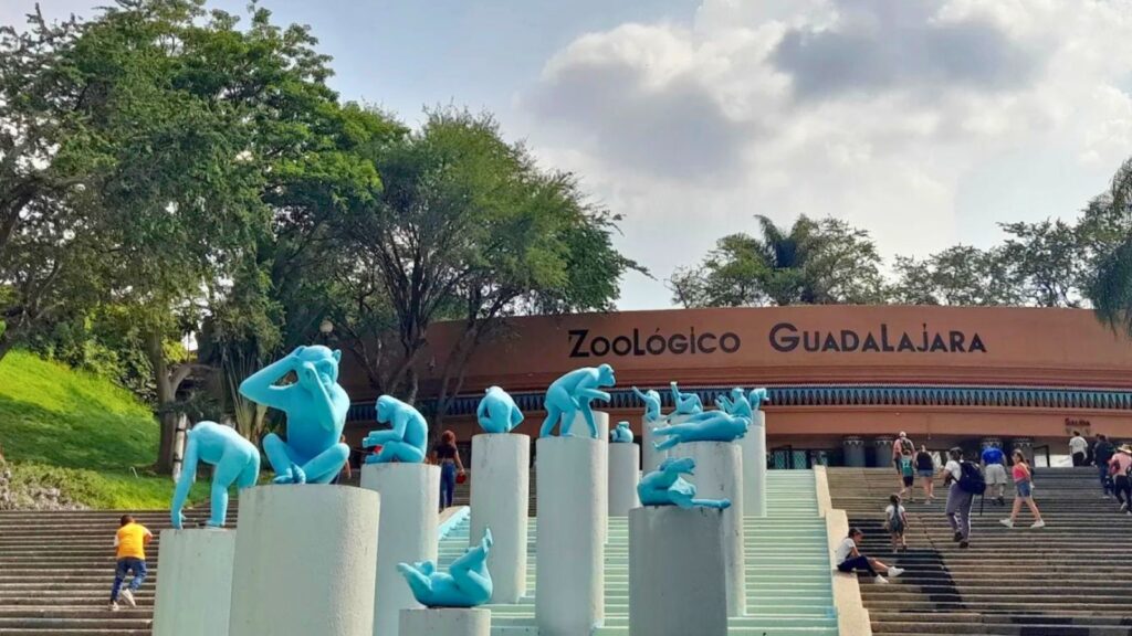 ¡Fiebre Mundialista en la Barranca! El Zoológico Guadalajara abre sus puertas gratis para los niños por el triunfo de México