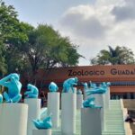 ¡Fiebre Mundialista en la Barranca! El Zoológico Guadalajara abre sus puertas gratis para los niños por el triunfo de México