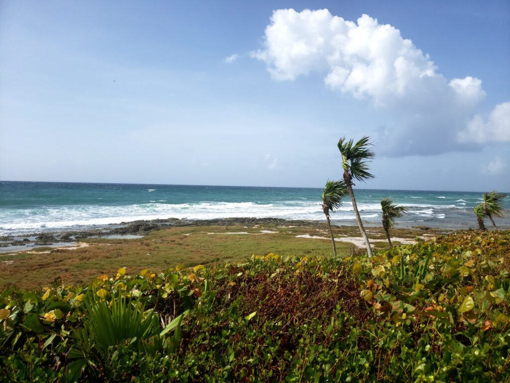 Costa Mujeres: El Nuevo Paraíso Escondido del Caribe Mexicano