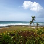 Costa Mujeres: El Nuevo Paraíso Escondido del Caribe Mexicano