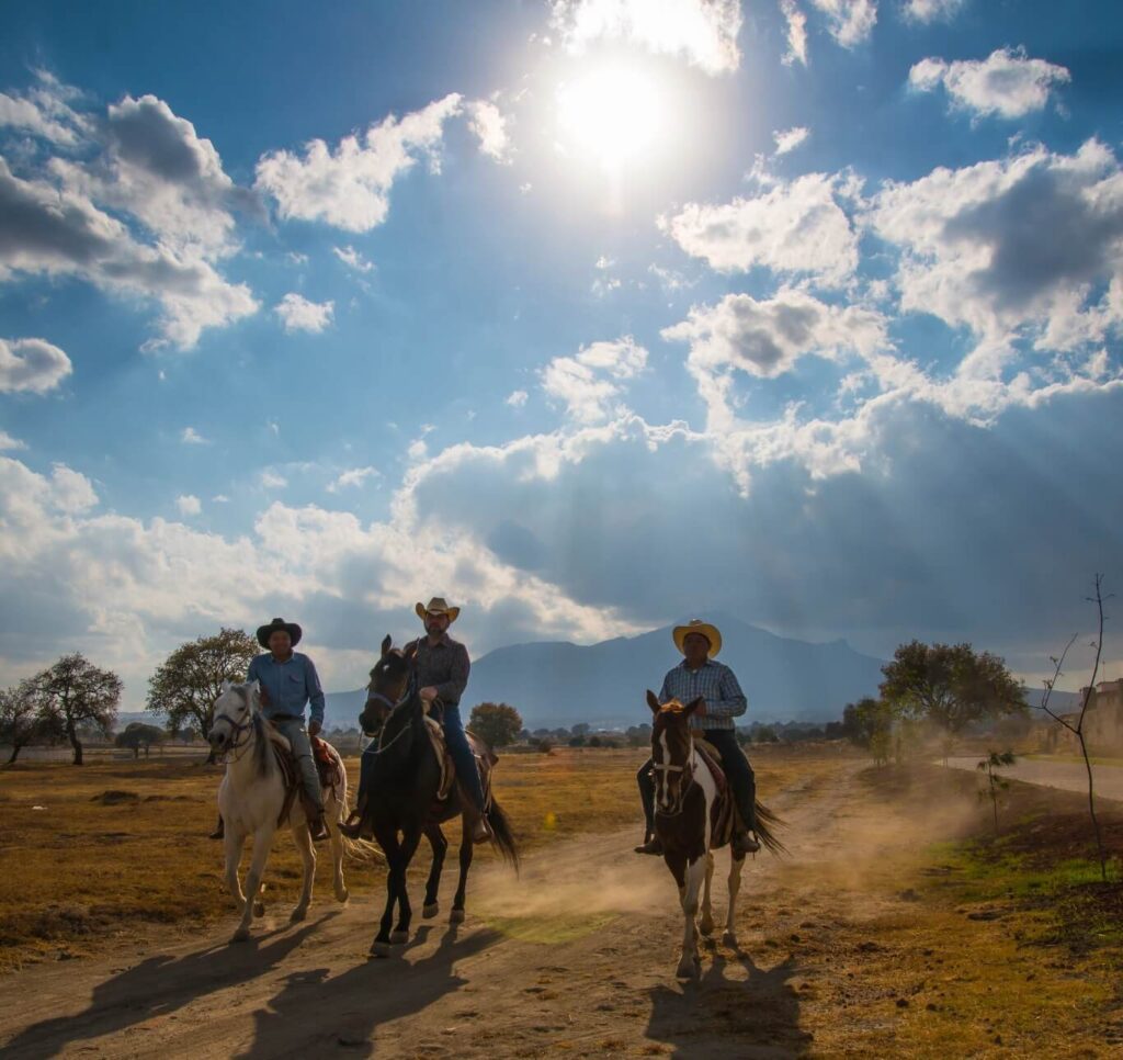 Paseos a caballo en la CDMX: Las mejores rutas y tours para explorar la naturaleza de la capital desde la montura