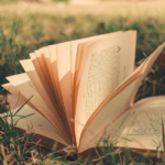 Pasaportes entre Páginas: El Auge del Turismo Literario y las Escapadas para Amantes de los Libros
