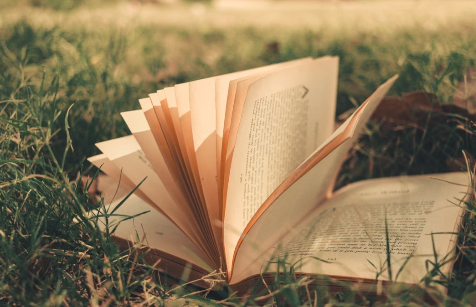 Pasaportes entre Páginas: El Auge del Turismo Literario y las Escapadas para Amantes de los Libros