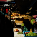 Sabores de Julio: La Riqueza Incomparable del Campo y la Huerta Mexicana en Verano