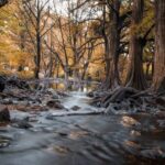 Las Musas en Guanajuato: El espectacular e idílico paraíso natural a la orilla del río en Manuel Doblado