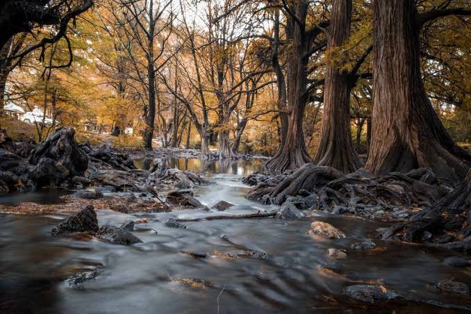Las Musas en Guanajuato: El espectacular e idílico paraíso natural a la orilla del río en Manuel Doblado