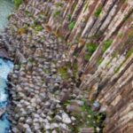 Los Prismas Basálticos de Huasca: Una de las 13 maravillas naturales de México en el corazón de Hidalgo
