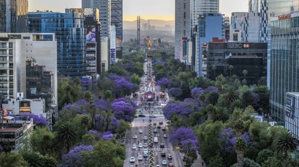 Guía ruterera: 4 paradas culturales e icónicas que debes visitar en la Ciudad de México