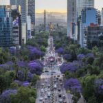 Guía ruterera: 4 paradas culturales e icónicas que debes visitar en la Ciudad de México