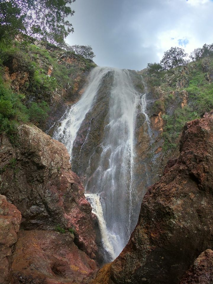 Cascada Picones en la Sierra de Santa Rosa: El espectáculo natural que revive con las lluvias en Guanajuato