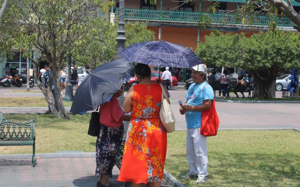 Clima en Tamaulipas HOY 12 de agosto: Prevén calor, con chubascos y fuertes rachas de viento