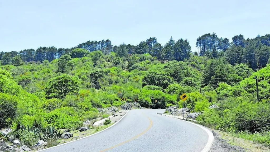 La Sierra de Álvarez en San Luis Potosí: Bosques de niebla, misterios geológicos y aventura pura en el altiplano