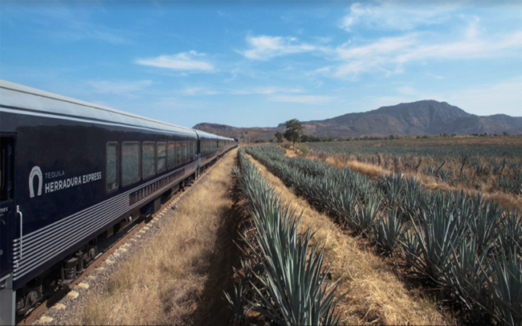 Amatitán, Jalisco: La cuna milenaria que dio origen al tequila y preserva la paz de antaño