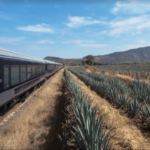 Amatitán, Jalisco: La cuna milenaria que dio origen al tequila y preserva la paz de antaño