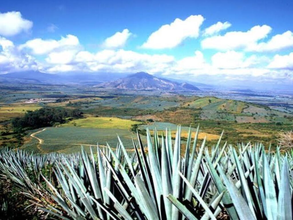 Explora la Barranca de Achio en Amatitán: Cañadas, aguas termales y la historia viva de Jalisco