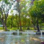 Guía ruterera: 5 joyas naturales y gratuitas para reconectar con la naturaleza en Guadalajara