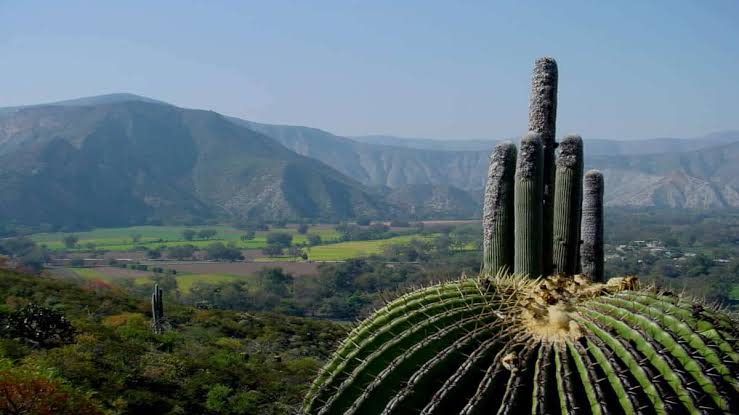 Metztitlán, Hidalgo: El “Lugar de la Luna” rodeado de barrancas, historia y riqueza natural