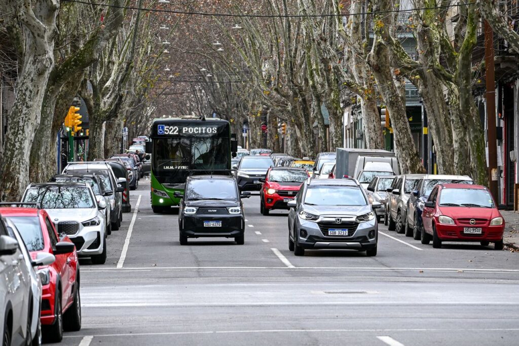 Traffic on a tree-lined street in Montevideo, Uruguay, featuring a public bus and cars.